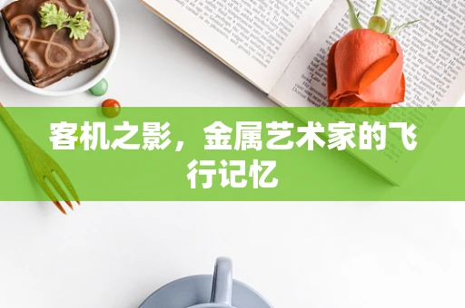 客机之影，金属艺术家的飞行记忆
