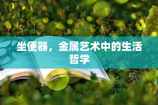 坐便器，金属艺术中的生活哲学