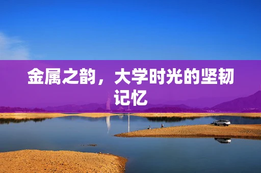 金属之韵，大学时光的坚韧记忆
