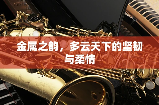 金属之韵，多云天下的坚韧与柔情