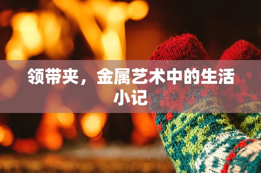 领带夹，金属艺术中的生活小记