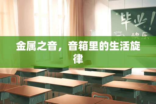 金属之音，音箱里的生活旋律
