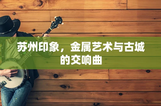 苏州印象，金属艺术与古城的交响曲