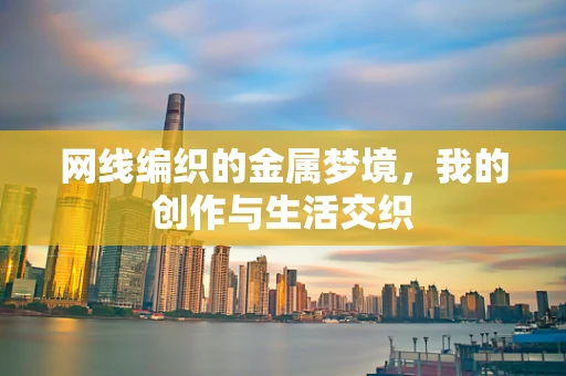 网线编织的金属梦境，我的创作与生活交织