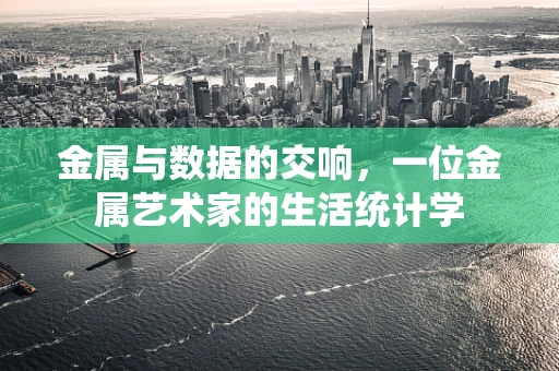金属与数据的交响，一位金属艺术家的生活统计学