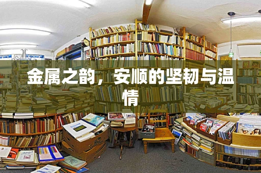金属之韵，安顺的坚韧与温情