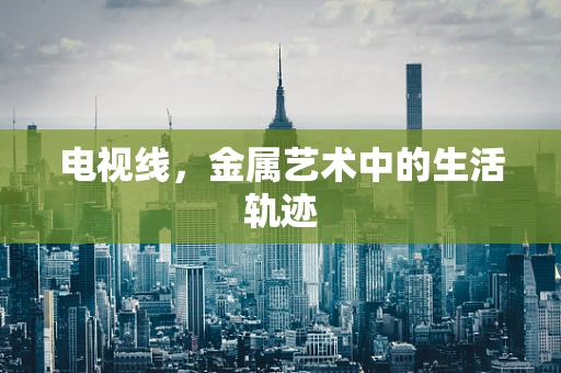电视线，金属艺术中的生活轨迹