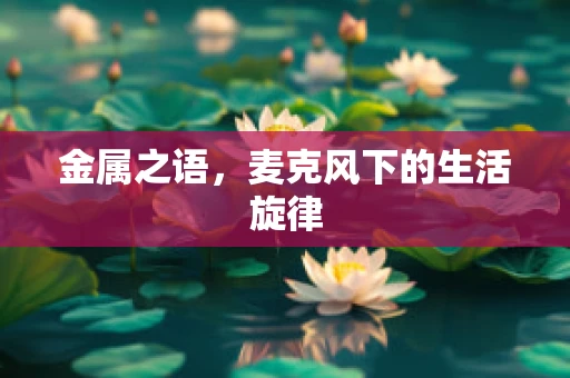 金属之语，麦克风下的生活旋律