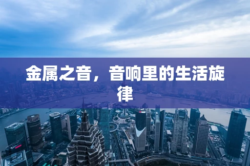 金属之音，音响里的生活旋律