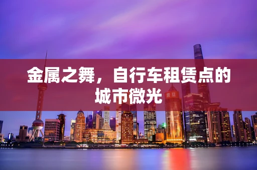 金属之舞，自行车租赁点的城市微光