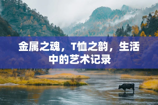 金属之魂，T恤之韵，生活中的艺术记录