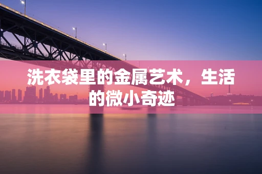 洗衣袋里的金属艺术，生活的微小奇迹