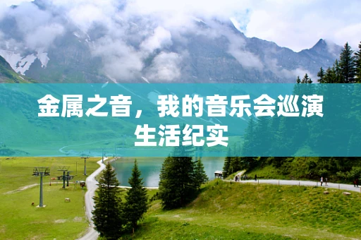金属之音，我的音乐会巡演生活纪实