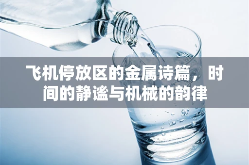 飞机停放区的金属诗篇，时间的静谧与机械的韵律