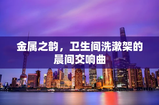 金属之韵，卫生间洗漱架的晨间交响曲