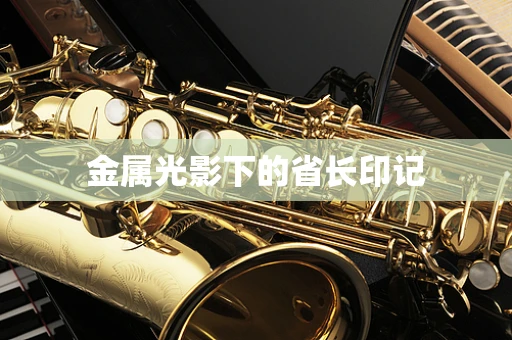 金属光影下的省长印记