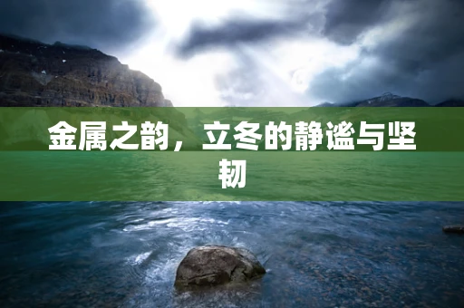 金属之韵，立冬的静谧与坚韧