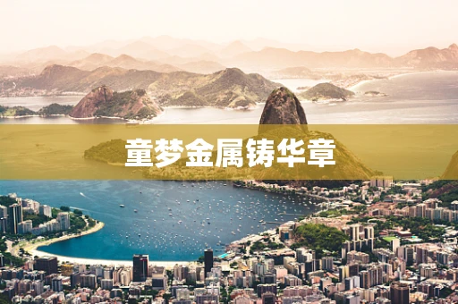 童梦金属铸华章