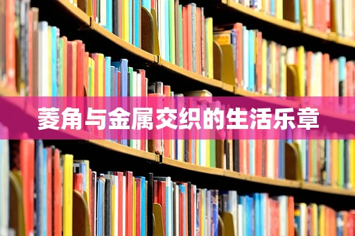 菱角与金属交织的生活乐章