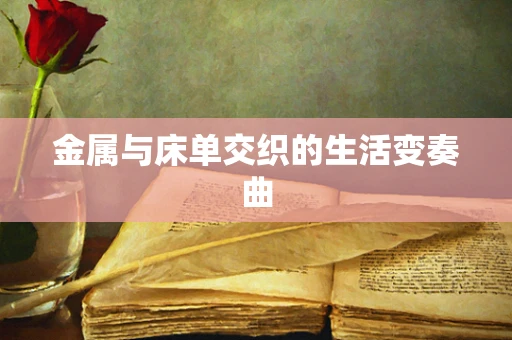 金属与床单交织的生活变奏曲