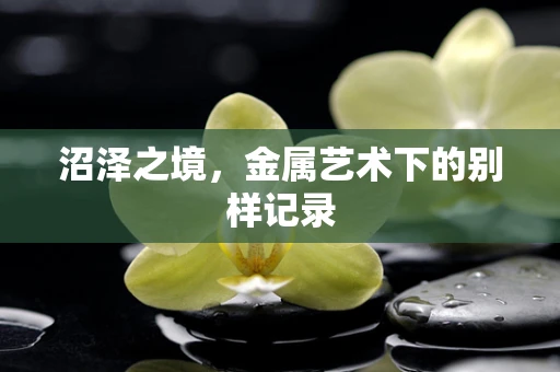 沼泽之境，金属艺术下的别样记录