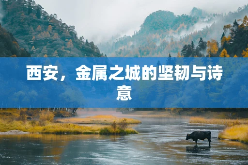 西安，金属之城的坚韧与诗意