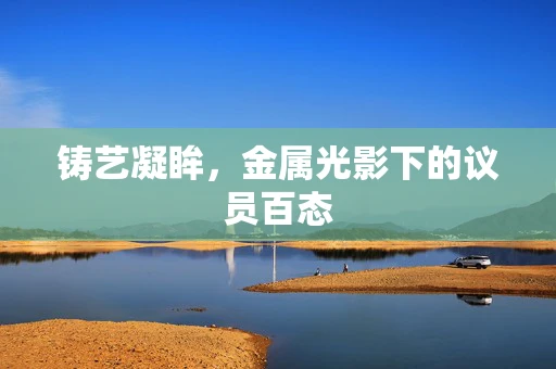 铸艺凝眸，金属光影下的议员百态