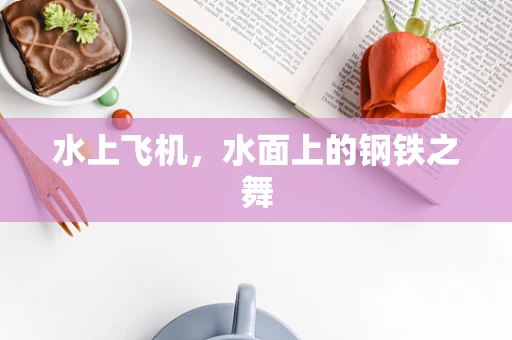 水上飞机，水面上的钢铁之舞