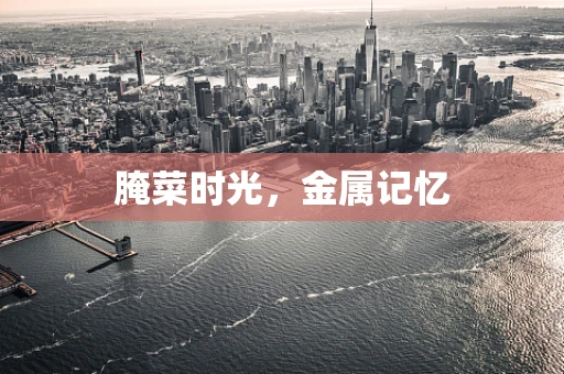 腌菜时光，金属记忆