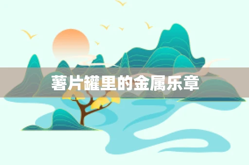 薯片罐里的金属乐章