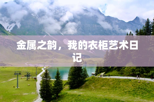 金属之韵，我的衣柜艺术日记