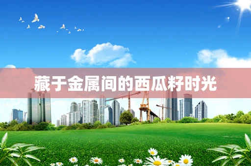 藏于金属间的西瓜籽时光