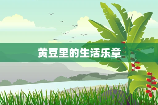 黄豆里的生活乐章