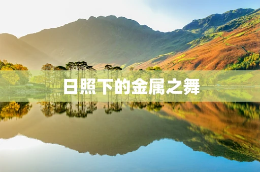 日照下的金属之舞