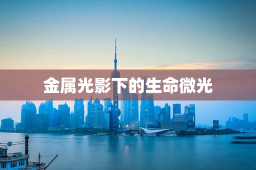 金属光影下的生命微光