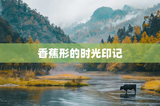 香蕉形的时光印记