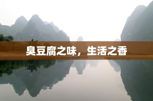 臭豆腐之味，生活之香