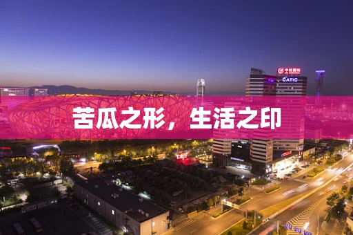 苦瓜之形，生活之印