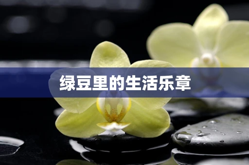 绿豆里的生活乐章