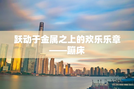 跃动于金属之上的欢乐乐章——蹦床