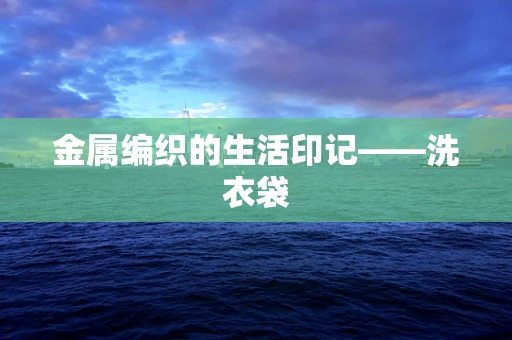 金属编织的生活印记——洗衣袋