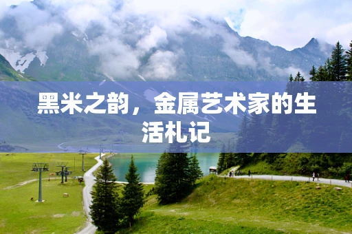 黑米之韵，金属艺术家的生活札记