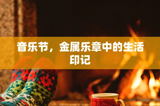 音乐节，金属乐章中的生活印记