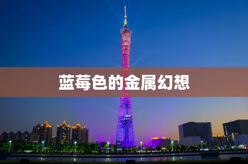 蓝莓色的金属幻想