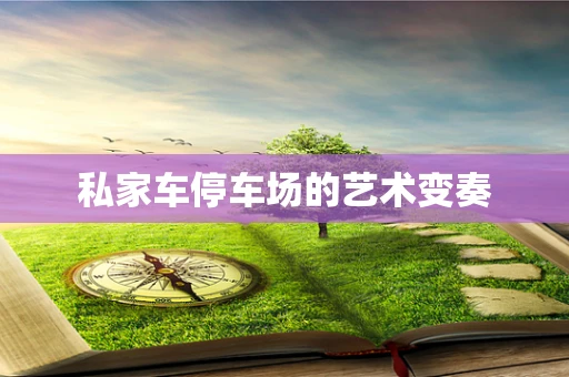 私家车停车场的艺术变奏