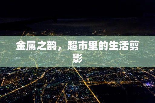 金属之韵，超市里的生活剪影