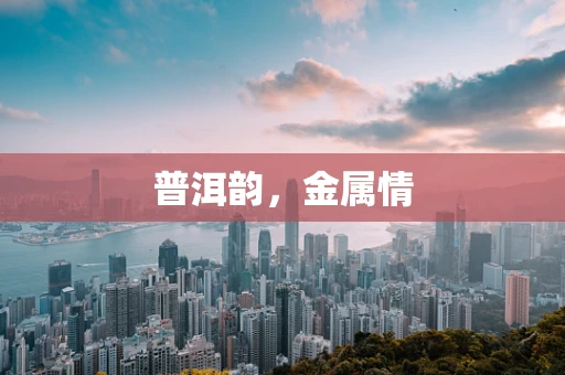 普洱韵，金属情