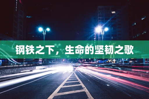 钢铁之下，生命的坚韧之歌