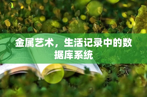 金属艺术，生活记录中的数据库系统