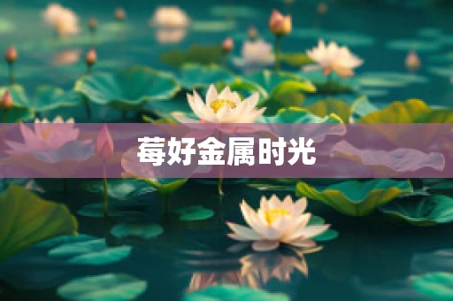 莓好金属时光